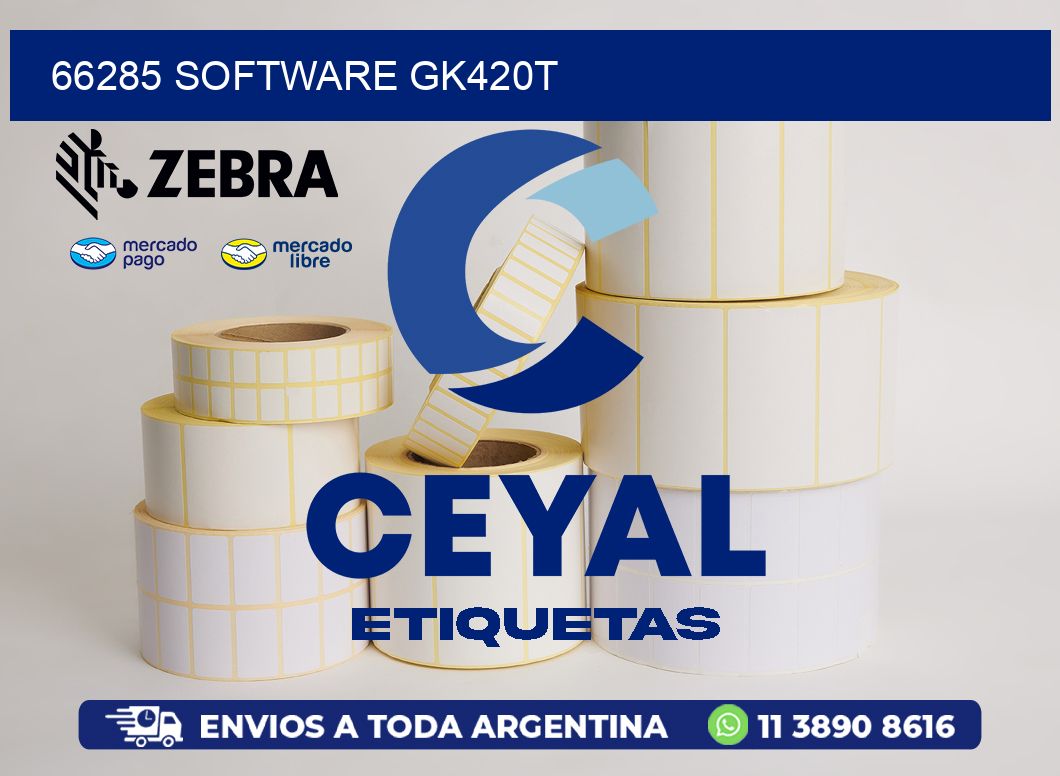 66285 SOFTWARE GK420T
