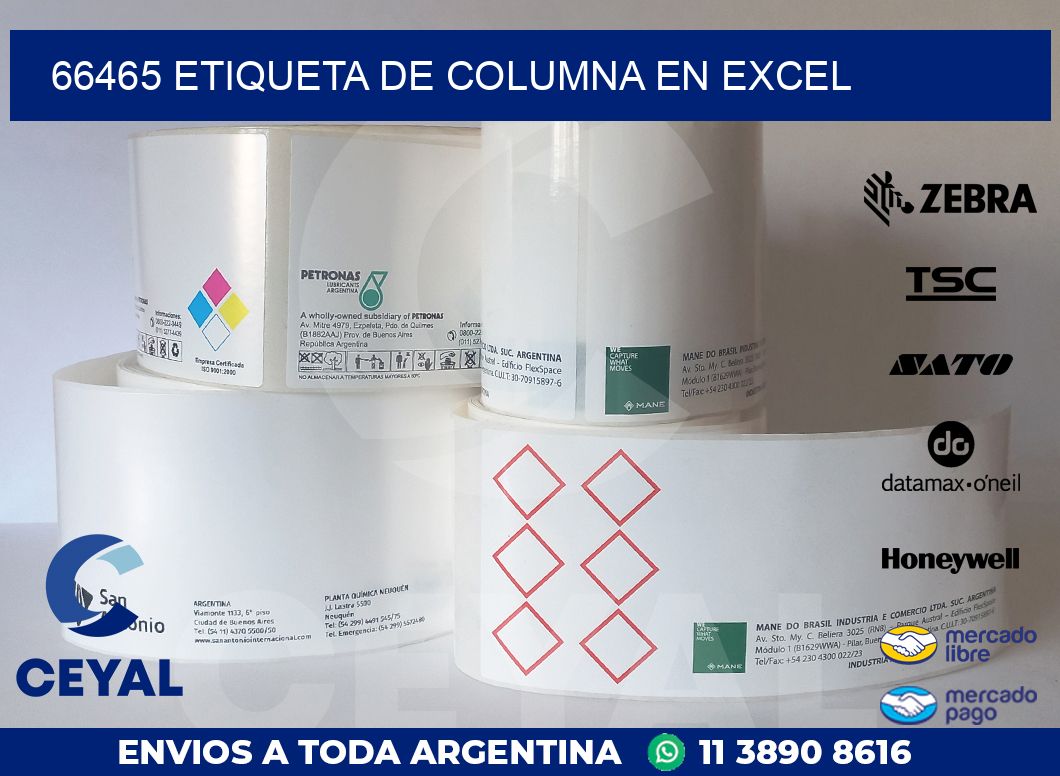 66465 Etiqueta de columna en Excel