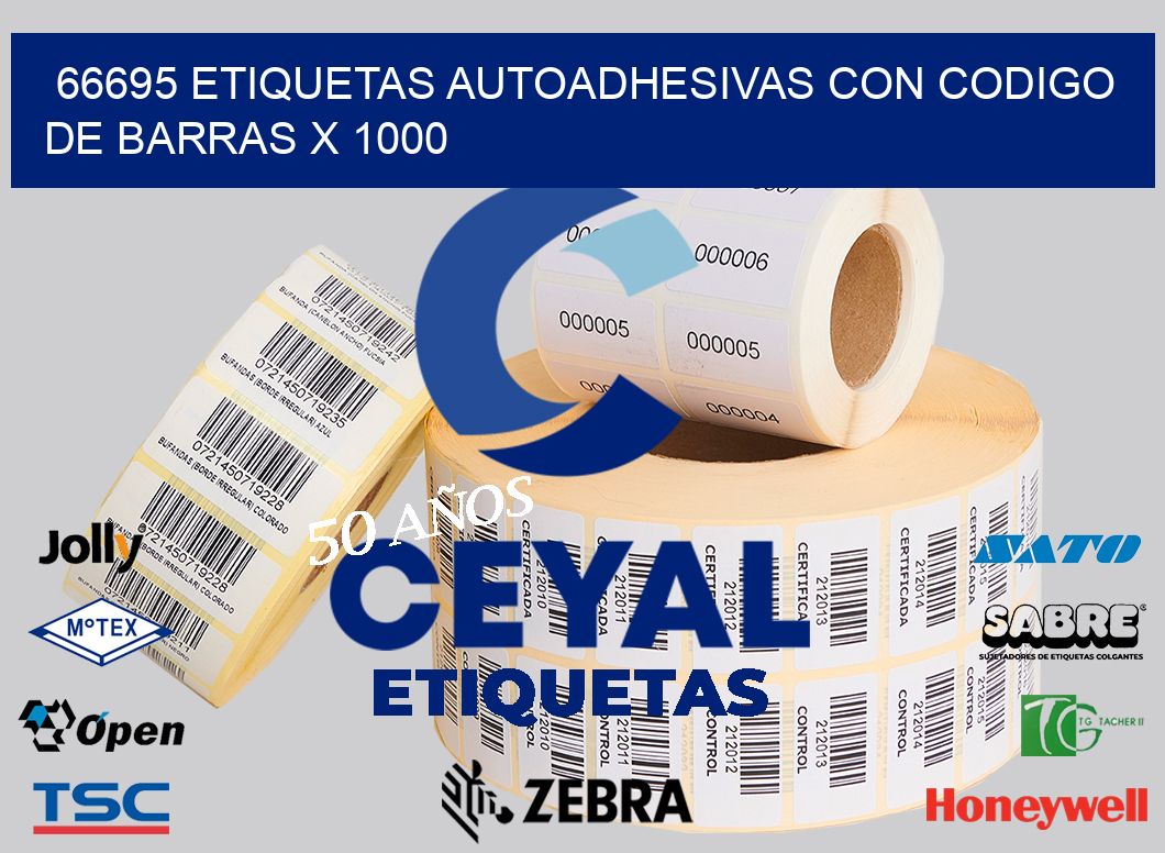 66695 ETIQUETAS AUTOADHESIVAS CON CODIGO DE BARRAS X 1000