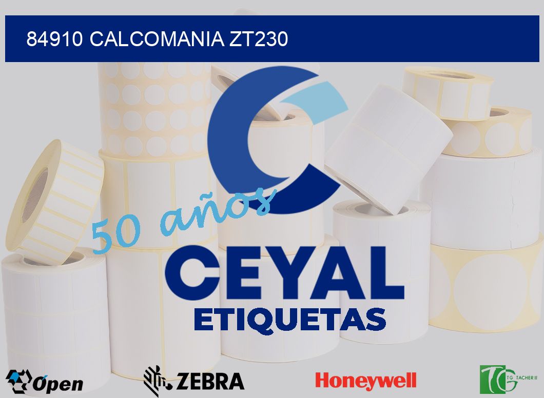 84910 CALCOMANIA ZT230