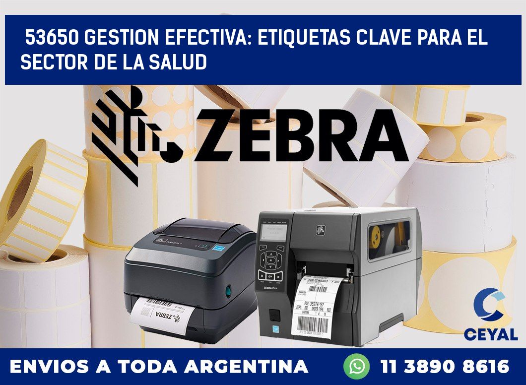 53650 GESTION EFECTIVA: ETIQUETAS CLAVE PARA EL SECTOR DE LA SALUD
