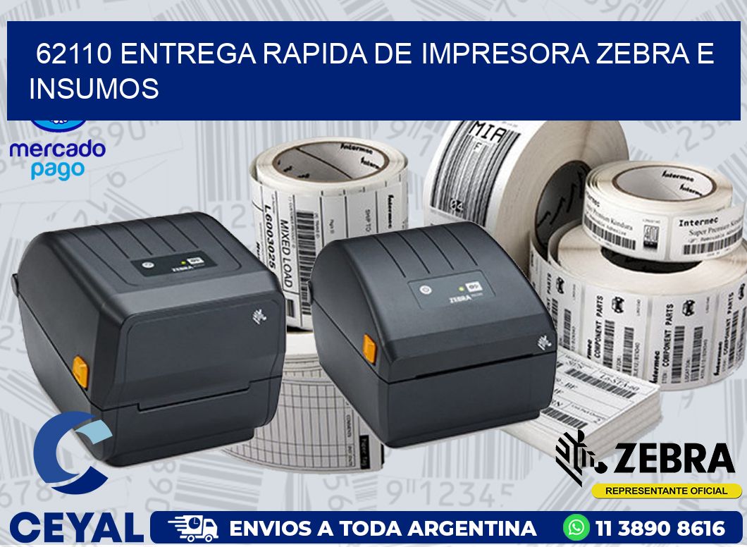 62110 ENTREGA RAPIDA DE IMPRESORA ZEBRA E INSUMOS