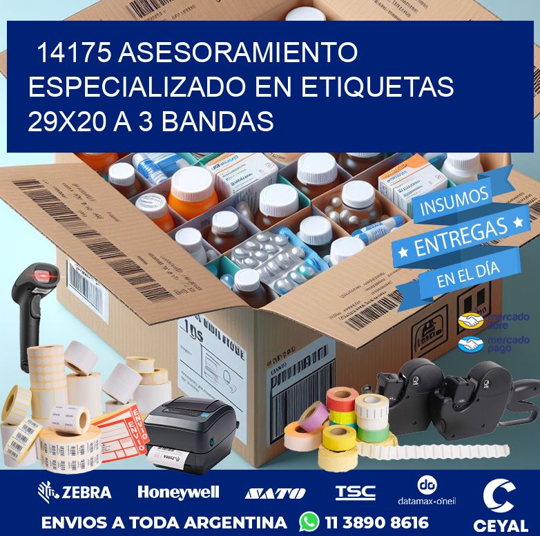 14175 ASESORAMIENTO ESPECIALIZADO EN ETIQUETAS 29X20 A 3 BANDAS