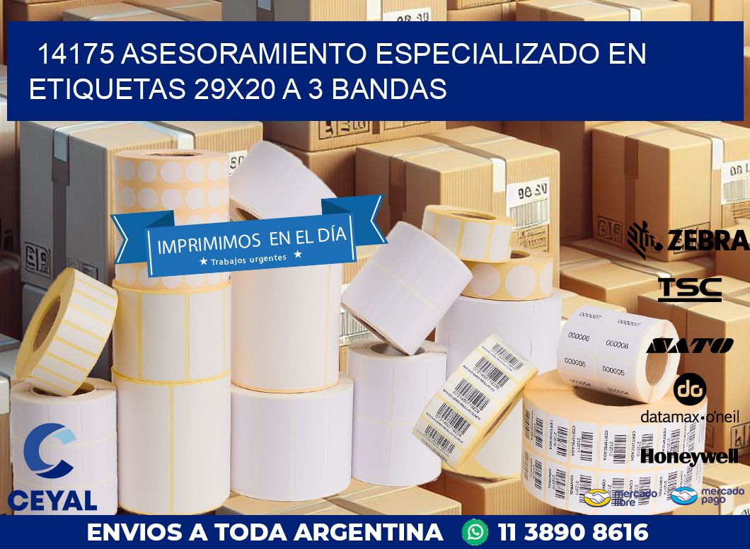 14175 ASESORAMIENTO ESPECIALIZADO EN ETIQUETAS 29X20 A 3 BANDAS