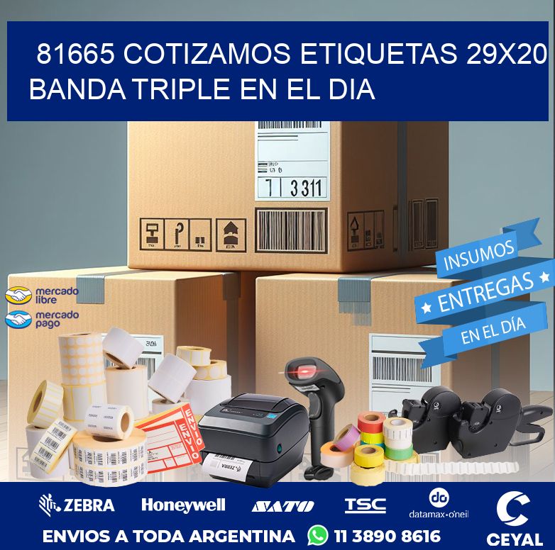 81665 COTIZAMOS ETIQUETAS 29X20 BANDA TRIPLE EN EL DIA