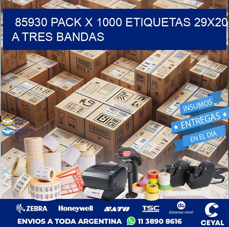 85930 PACK X 1000 ETIQUETAS 29X20 A TRES BANDAS