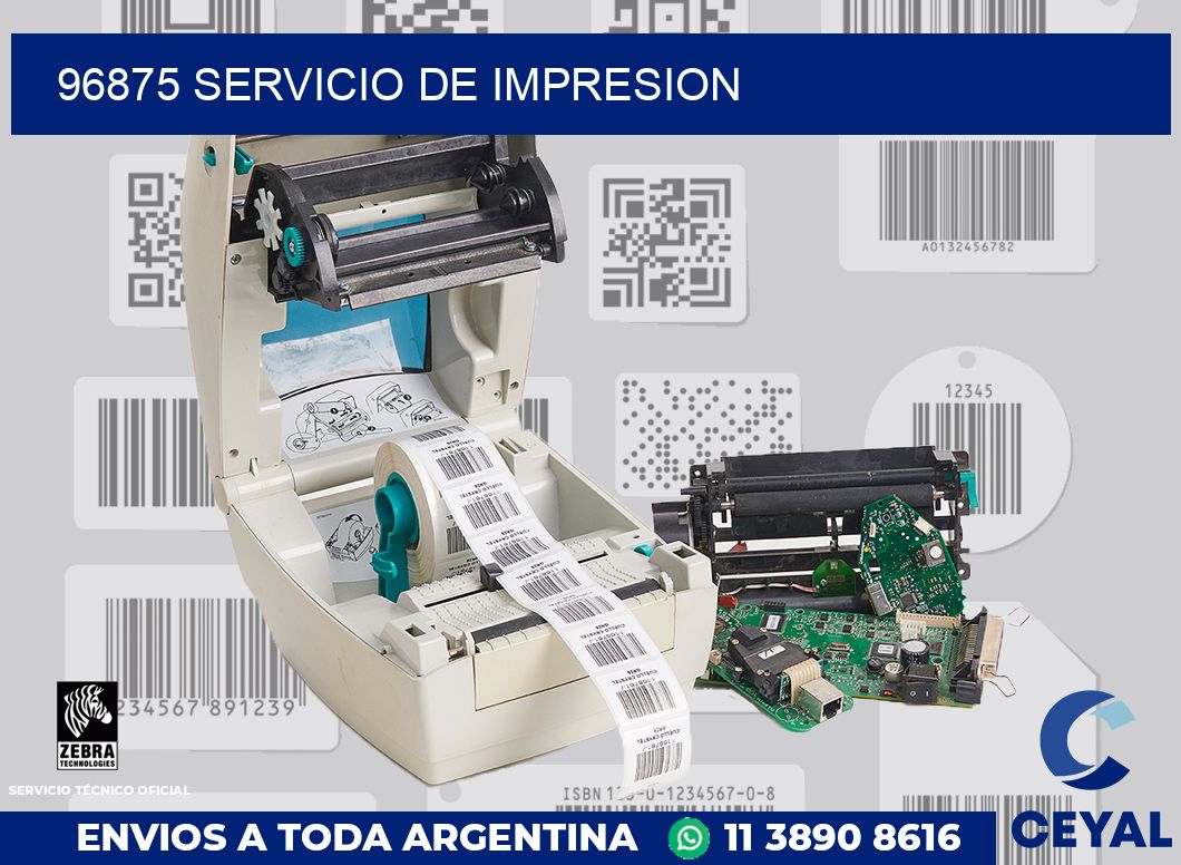 96875 SERVICIO DE IMPRESION