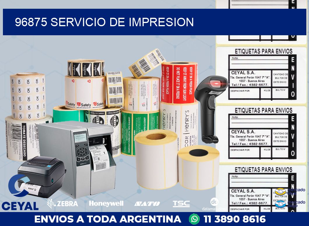 96875 SERVICIO DE IMPRESION