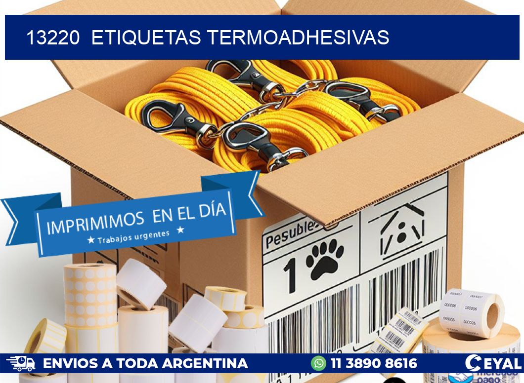 13220  ETIQUETAS TERMOADHESIVAS