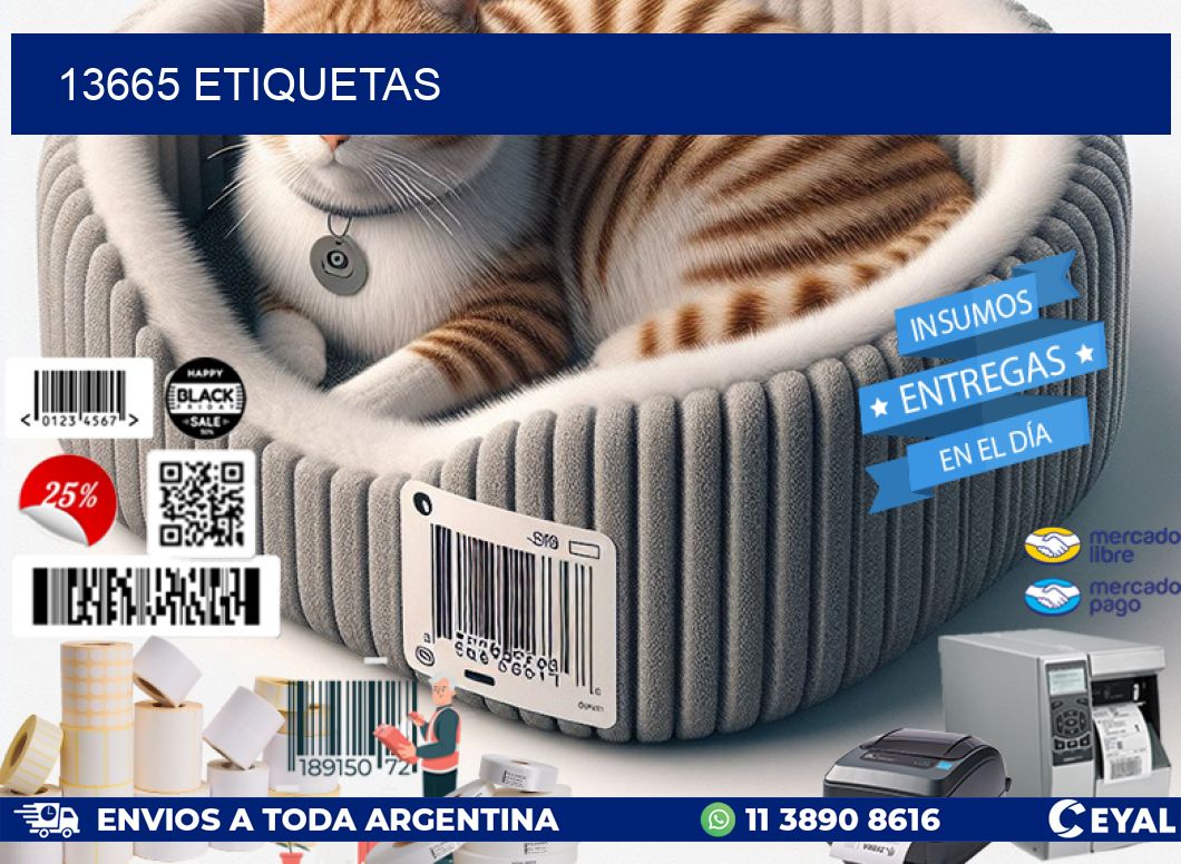 13665 ETIQUETAS