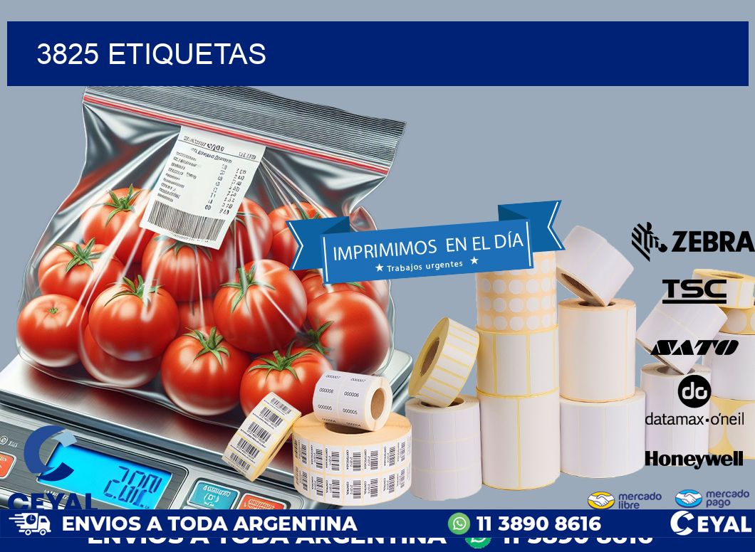 3825 ETIQUETAS