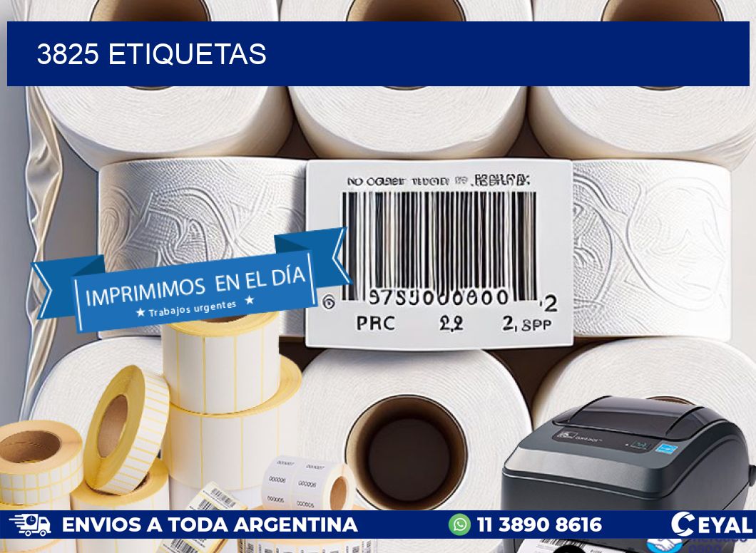 3825 ETIQUETAS