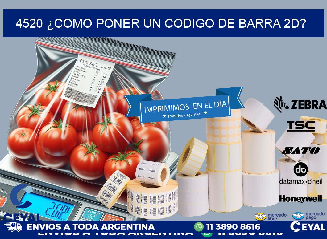 4520 ¿COMO PONER UN CODIGO DE BARRA 2D?