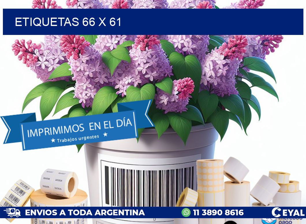 ETIQUETAS 66 x 61