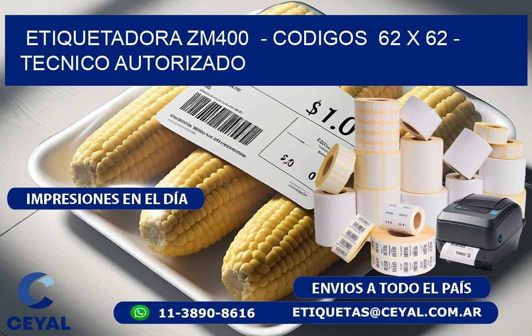 ETIQUETADORA ZM400  - CODIGOS  62 x 62 - TECNICO AUTORIZADO