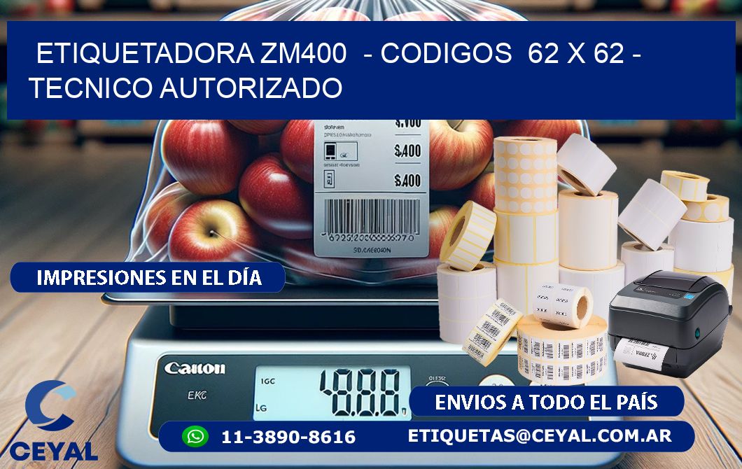 ETIQUETADORA ZM400  - CODIGOS  62 x 62 - TECNICO AUTORIZADO