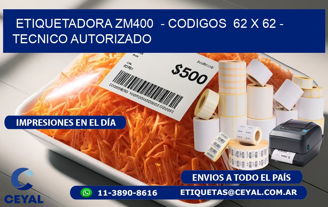 ETIQUETADORA ZM400  - CODIGOS  62 x 62 - TECNICO AUTORIZADO