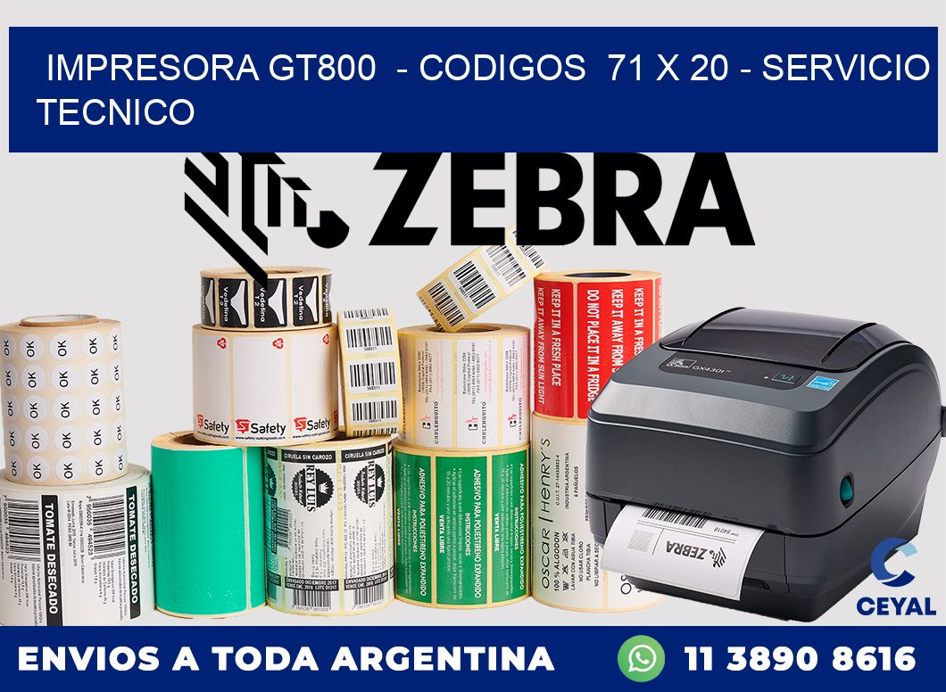 IMPRESORA GT800  - CODIGOS  71 x 20 - SERVICIO TECNICO