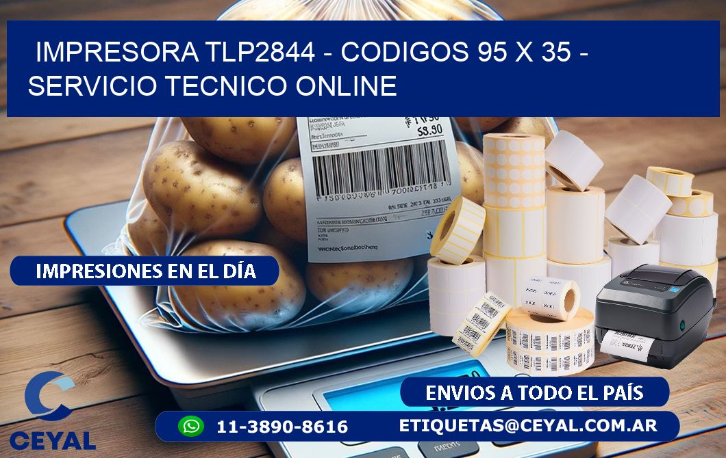 IMPRESORA TLP2844 - CODIGOS 95 x 35 - SERVICIO TECNICO ONLINE