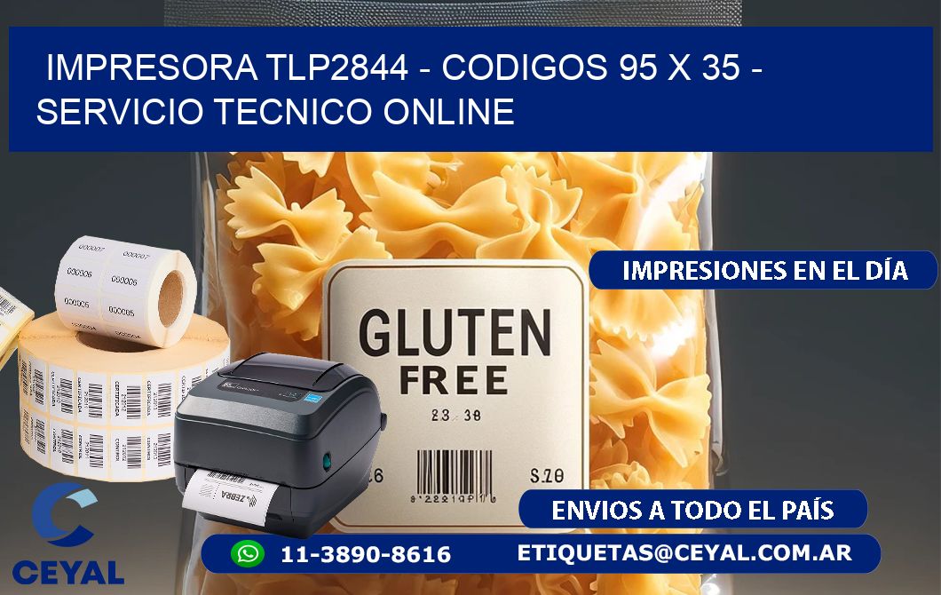 IMPRESORA TLP2844 - CODIGOS 95 x 35 - SERVICIO TECNICO ONLINE