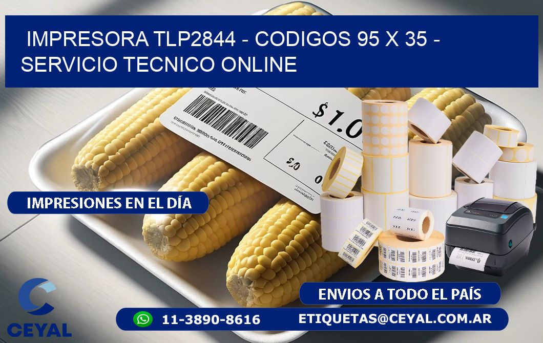 IMPRESORA TLP2844 - CODIGOS 95 x 35 - SERVICIO TECNICO ONLINE