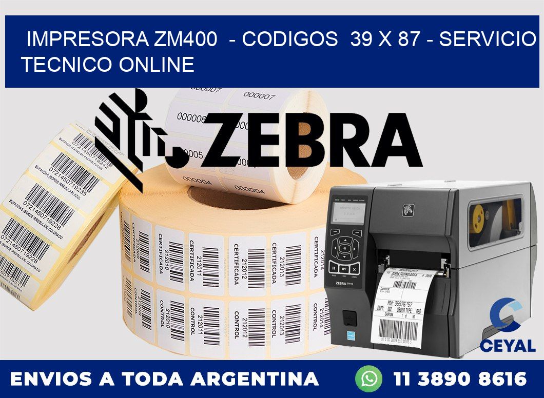 IMPRESORA ZM400  - CODIGOS  39 x 87 - SERVICIO TECNICO ONLINE
