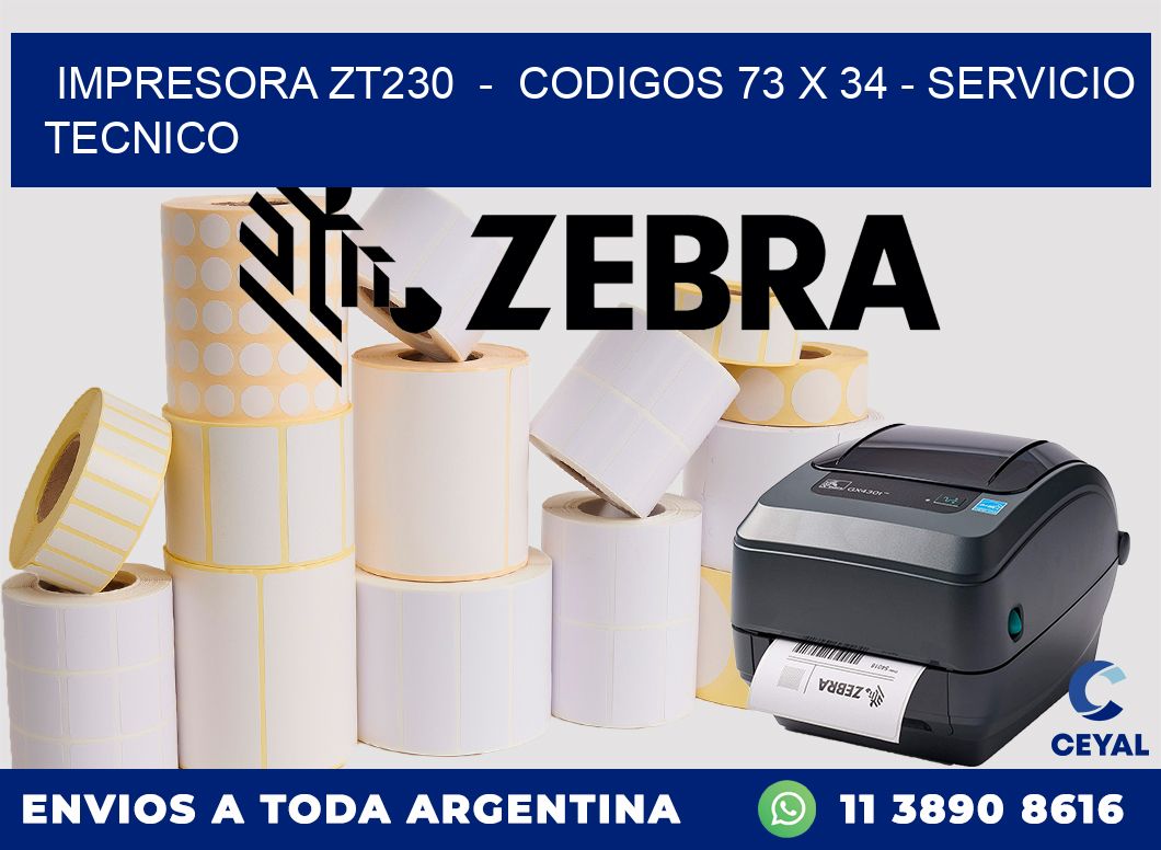 IMPRESORA ZT230  -  CODIGOS 73 x 34 - SERVICIO TECNICO