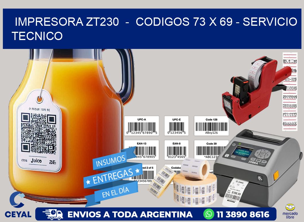 IMPRESORA ZT230 - CODIGOS 73 x 69 - SERVICIO TECNICO