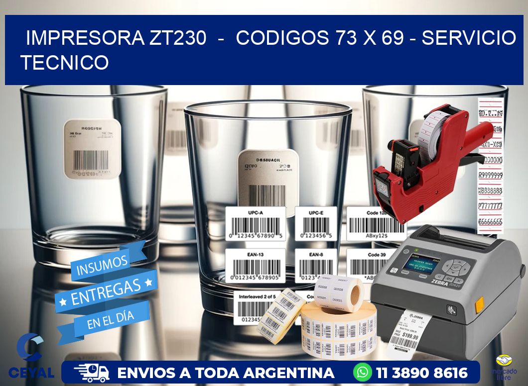 IMPRESORA ZT230 - CODIGOS 73 x 69 - SERVICIO TECNICO