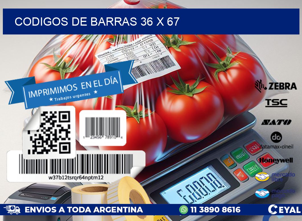 codigos de barras 36 x 67