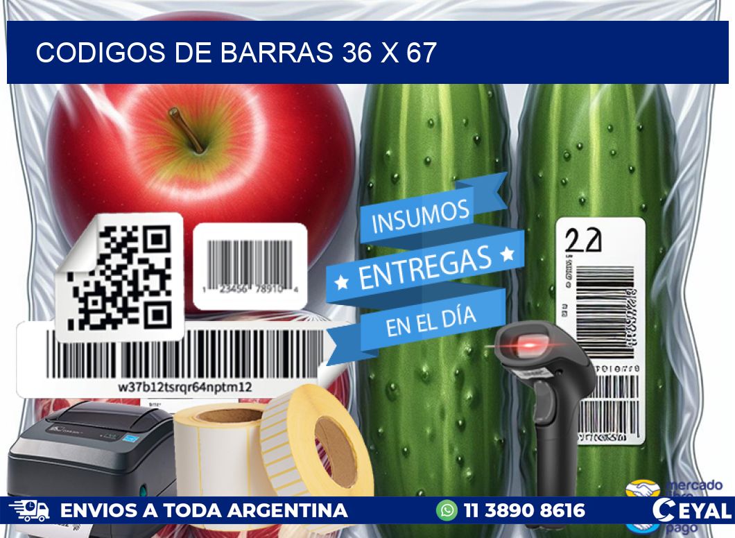 codigos de barras 36 x 67