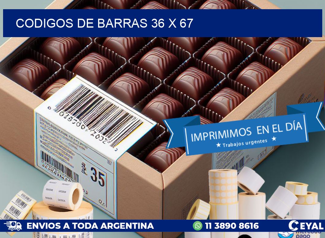 codigos de barras 36 x 67