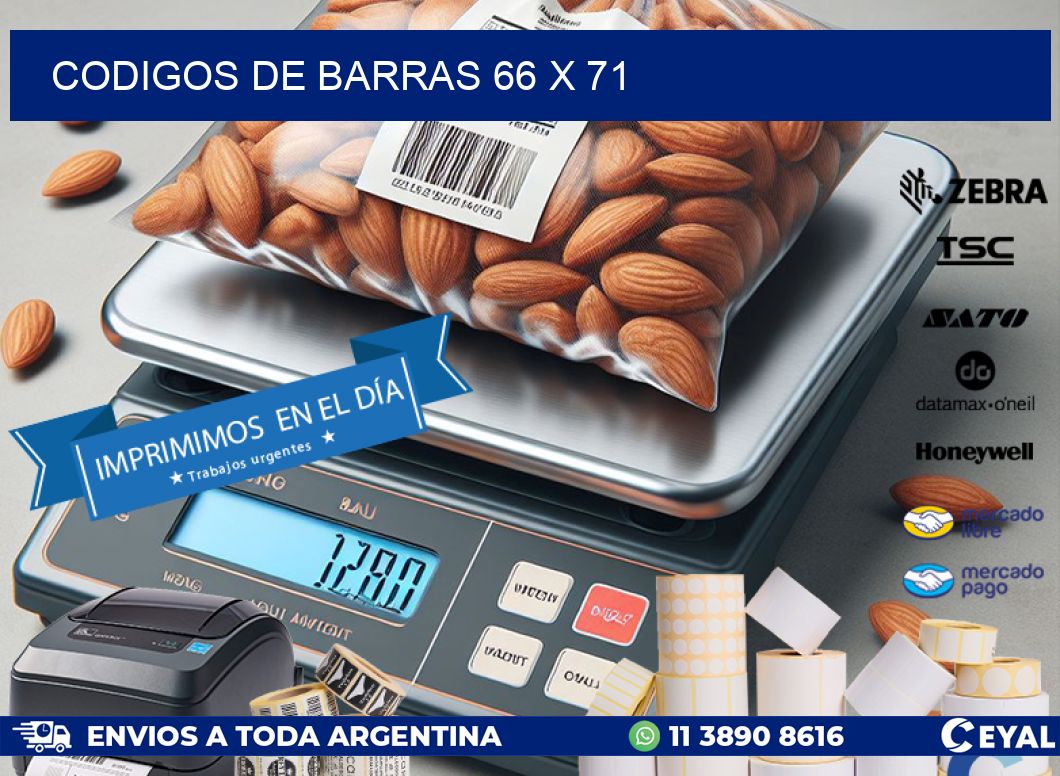 codigos de barras 66 x 71