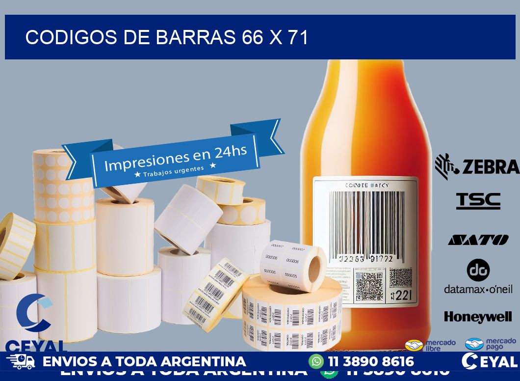 codigos de barras 66 x 71