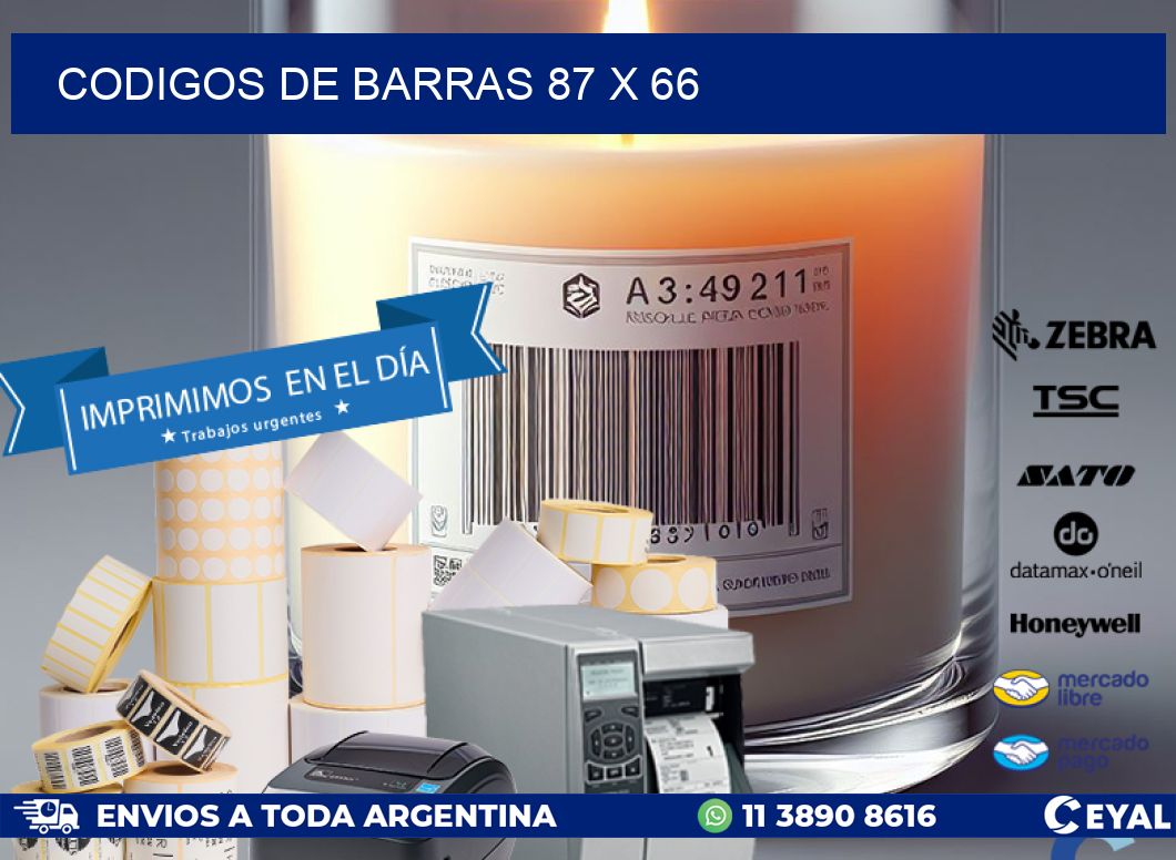 codigos de barras 87 x 66