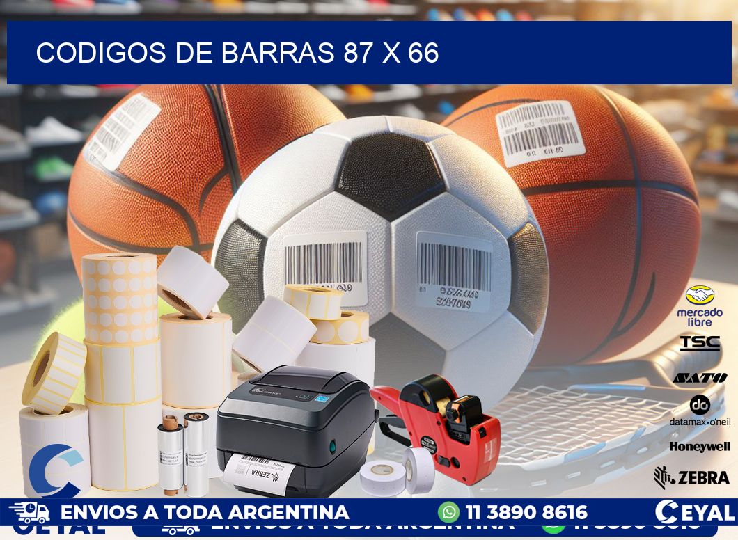 codigos de barras 87 x 66
