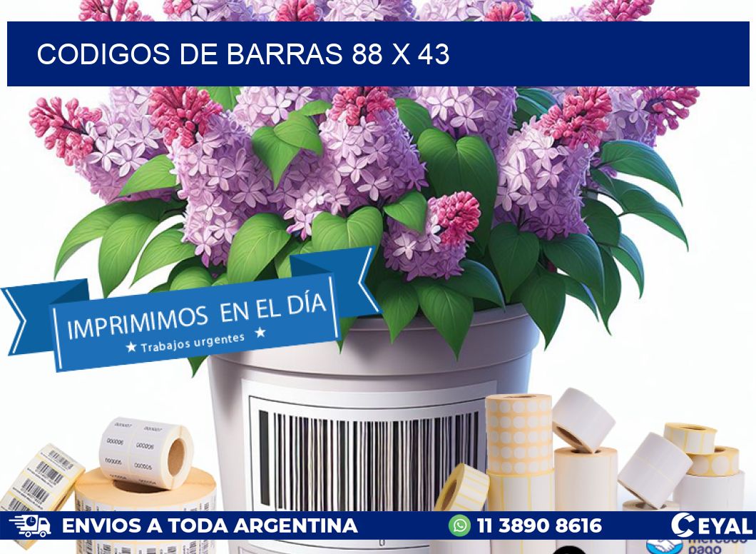 codigos de barras 88 x 43