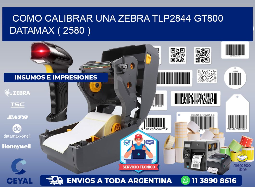 COMO CALIBRAR UNA ZEBRA TLP2844 GT800 DATAMAX ( 2580 )