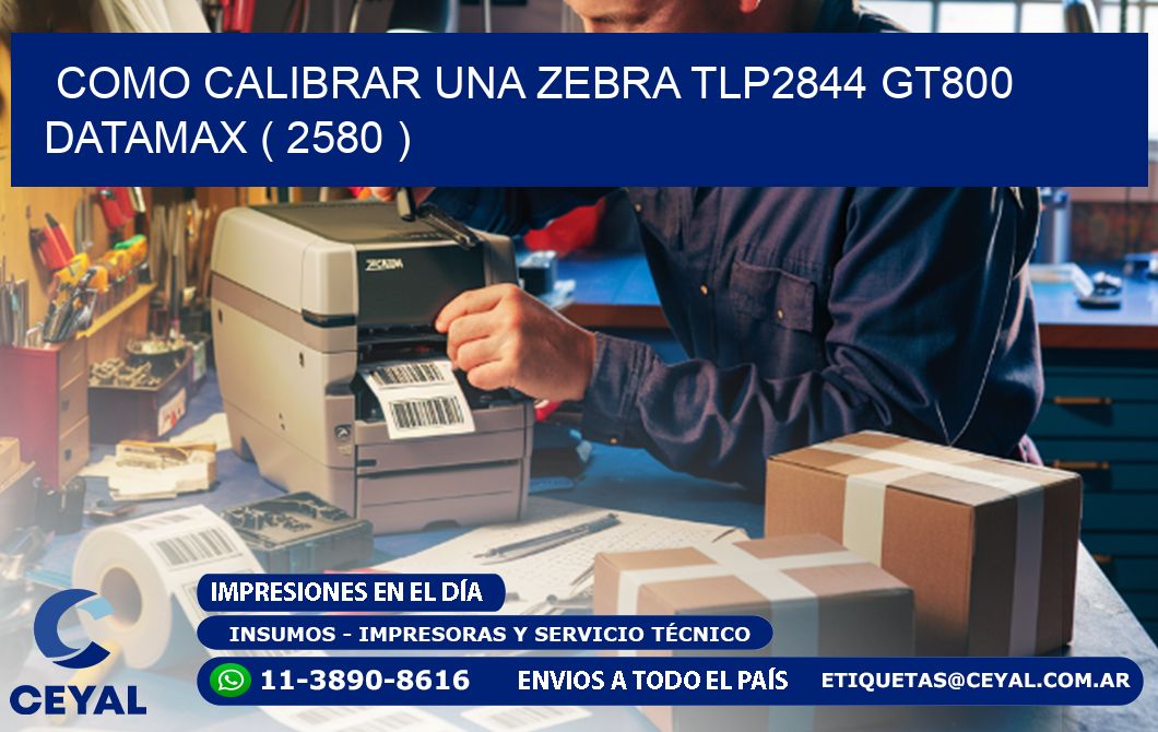 COMO CALIBRAR UNA ZEBRA TLP2844 GT800 DATAMAX ( 2580 )
