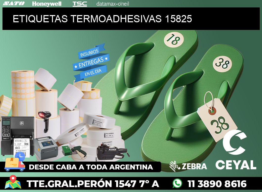 ETIQUETAS TERMOADHESIVAS 15825