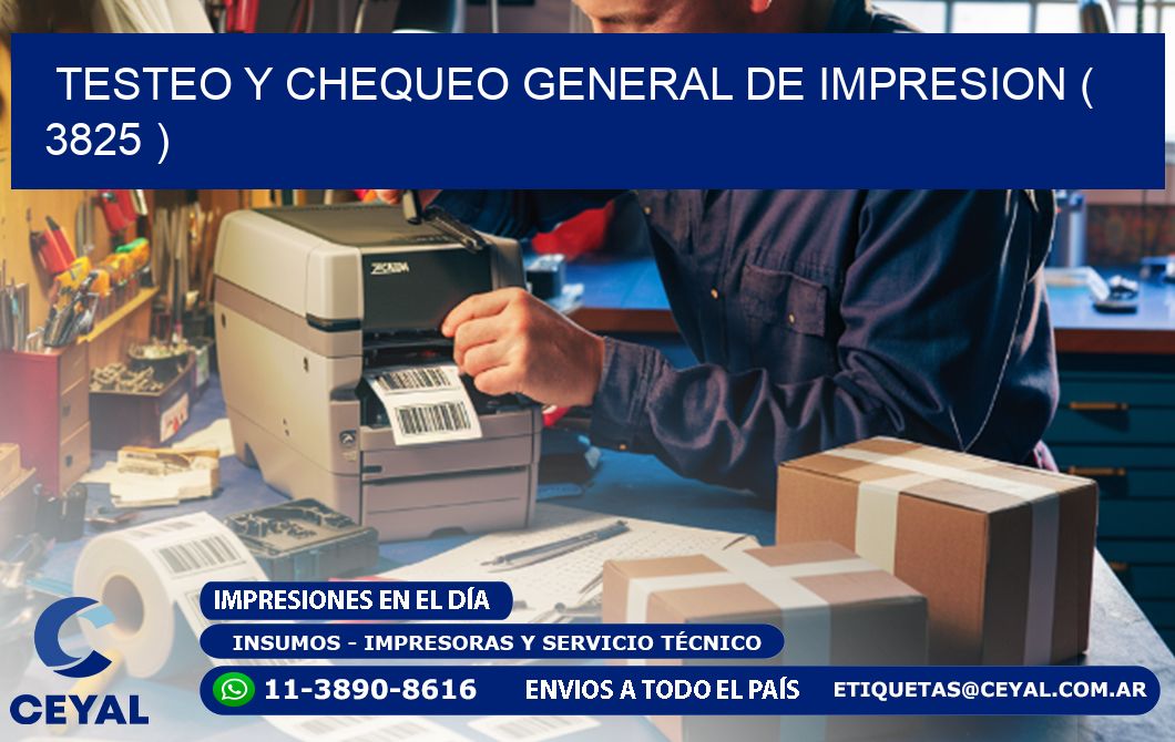 TESTEO Y CHEQUEO GENERAL DE IMPRESION ( 3825 )