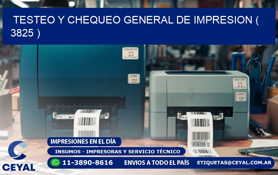 TESTEO Y CHEQUEO GENERAL DE IMPRESION ( 3825 )