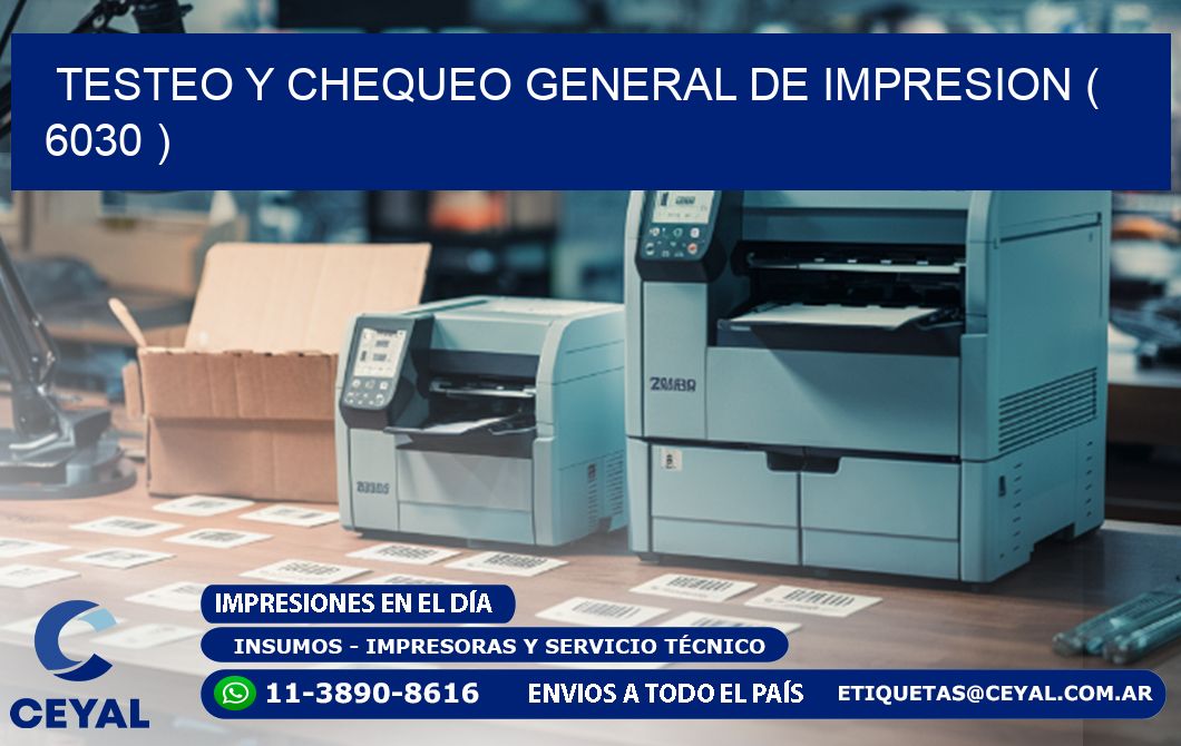 TESTEO Y CHEQUEO GENERAL DE IMPRESION ( 6030 )