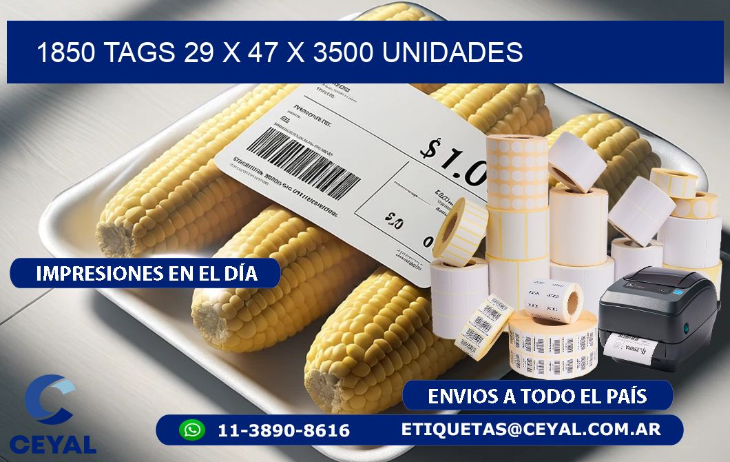 1850 TAGS 29 x 47 X 3500 UNIDADES