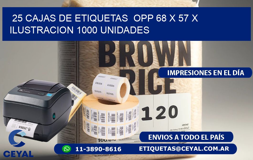 25 CAJAS DE ETIQUETAS  OPP 68 x 57 X ILUSTRACION 1000 UNIDADES