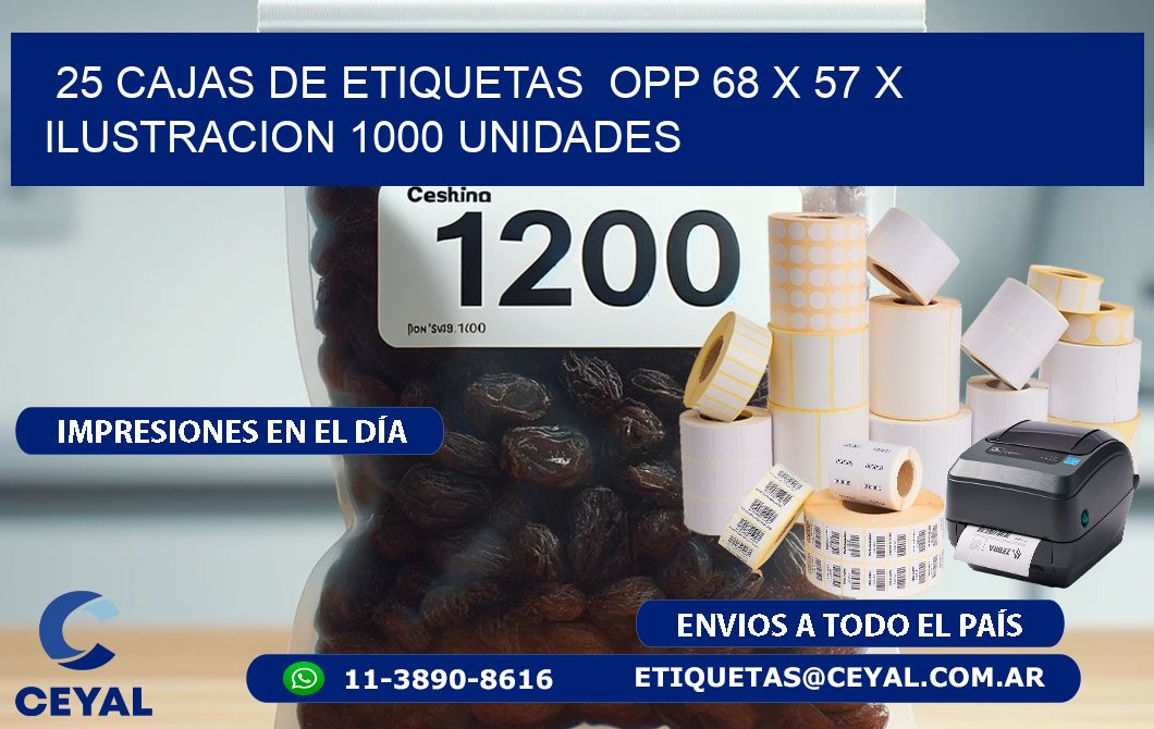 25 CAJAS DE ETIQUETAS  OPP 68 x 57 X ILUSTRACION 1000 UNIDADES