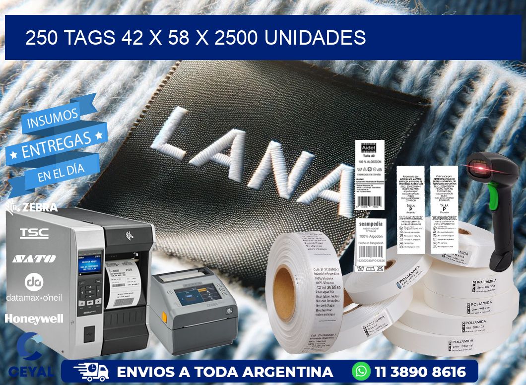 250 TAGS 42 x 58 X 2500 UNIDADES