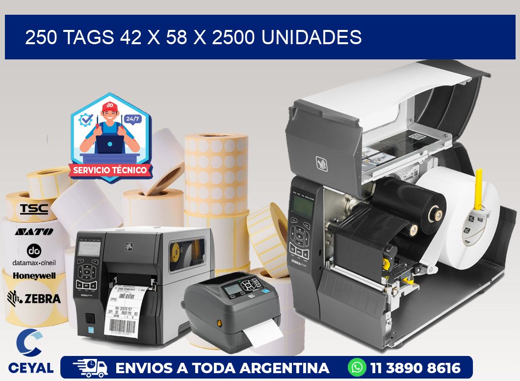 250 TAGS 42 x 58 X 2500 UNIDADES