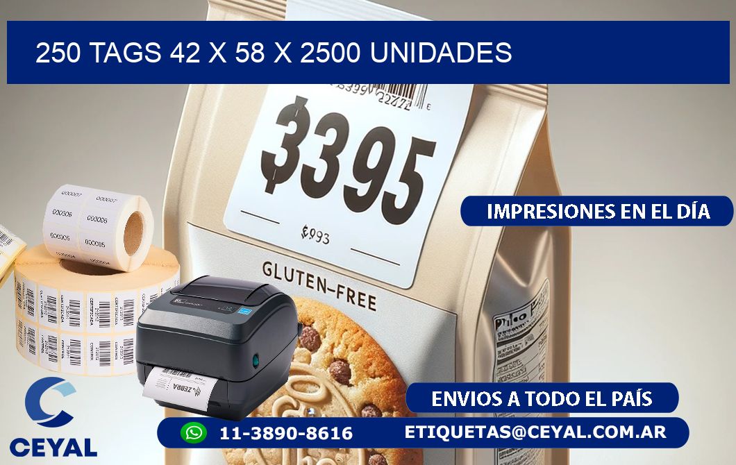 250 TAGS 42 x 58 X 2500 UNIDADES