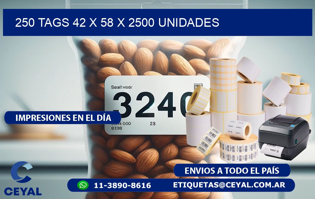 250 TAGS 42 x 58 X 2500 UNIDADES